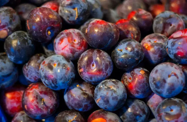 Biricoccolos Plumcot nostrano Organic / Conv