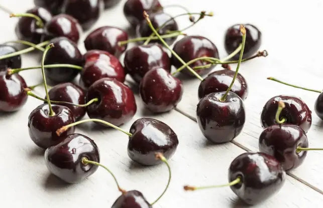 Organic Black Tartarian Cherry / Conv