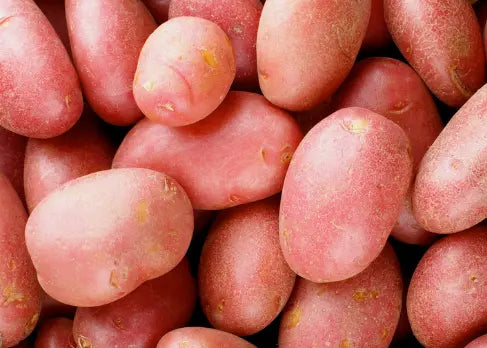 Chérie Potato Plants 25kg Organic / Conv