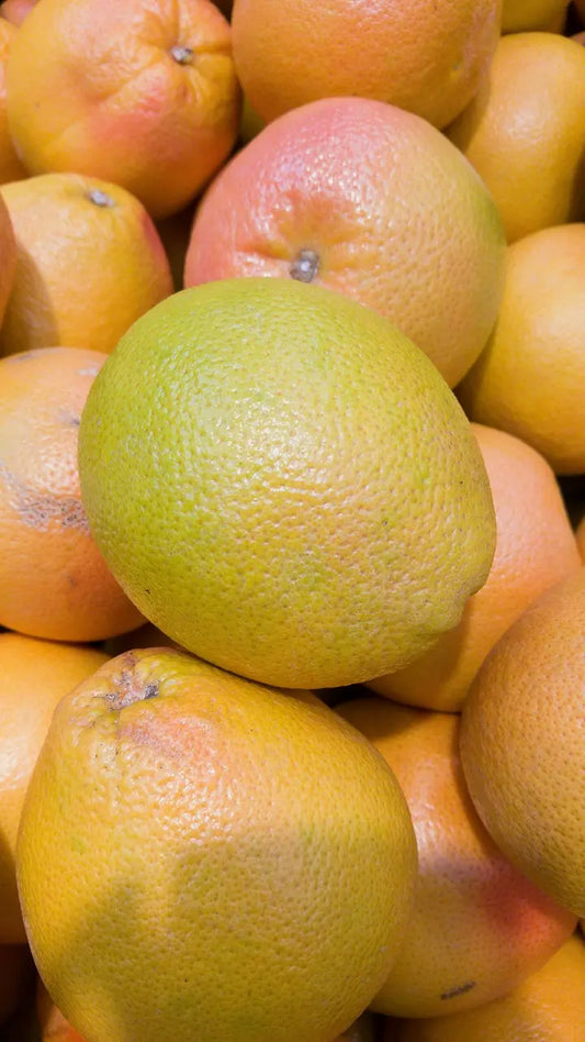 Plant Pomelos / Pamplemousse Star Ruby Bio / Conv